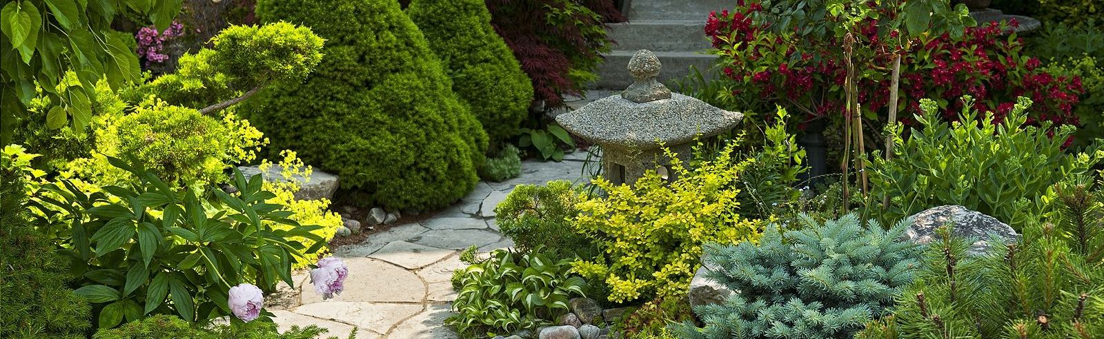 Landscaping Lakeland FL