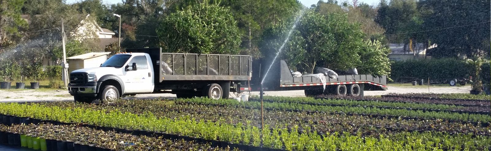 Landscaping Lakeland FL
